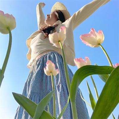 星际传奇2
