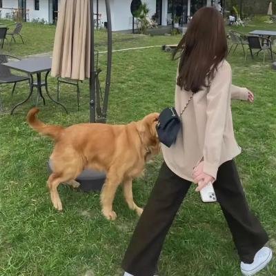 动物系恋人啊