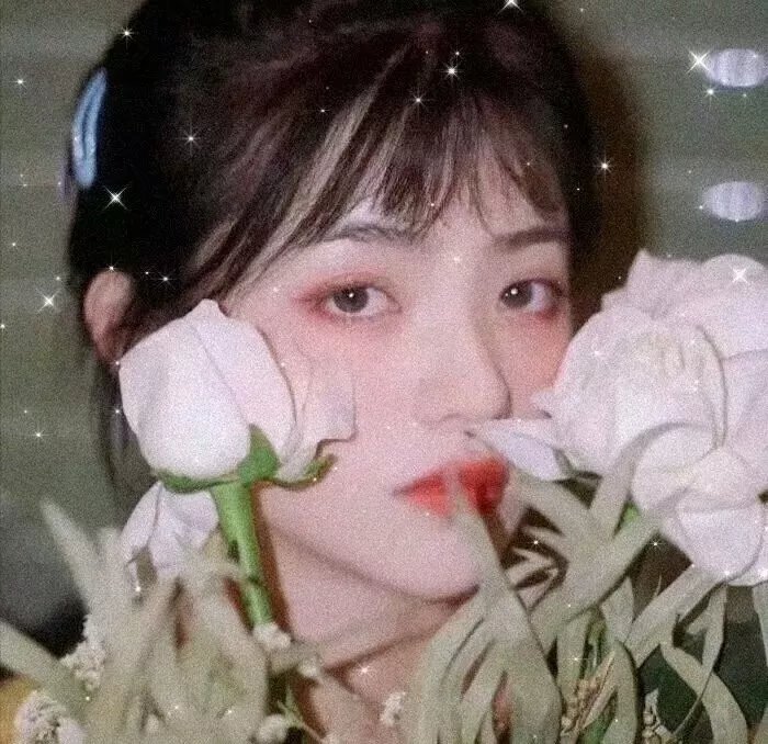 复仇的女枪手